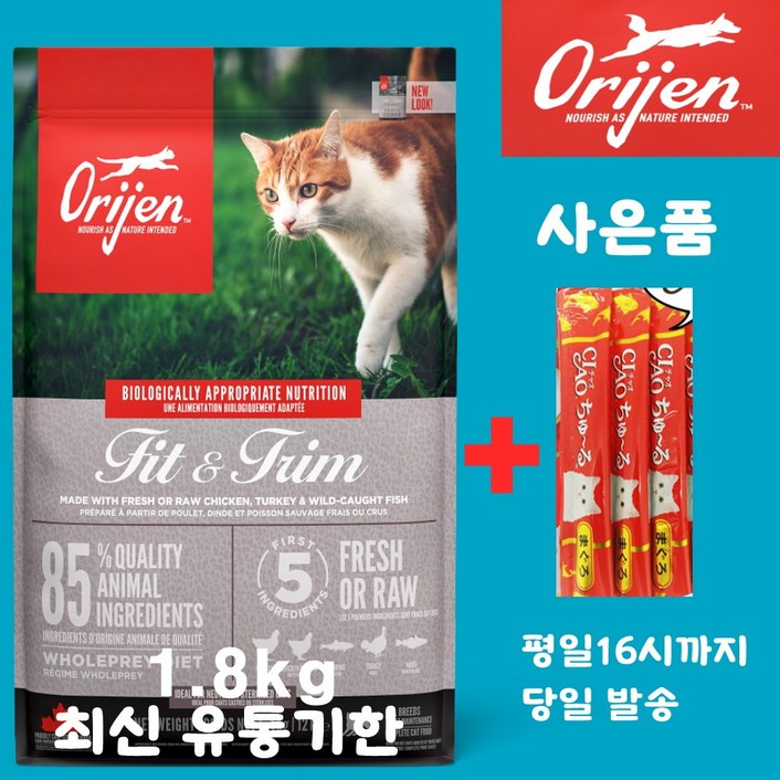 오리젠 피트앤트림 캣 (견성상사 단독사은품 증정 판매자 확인필수)