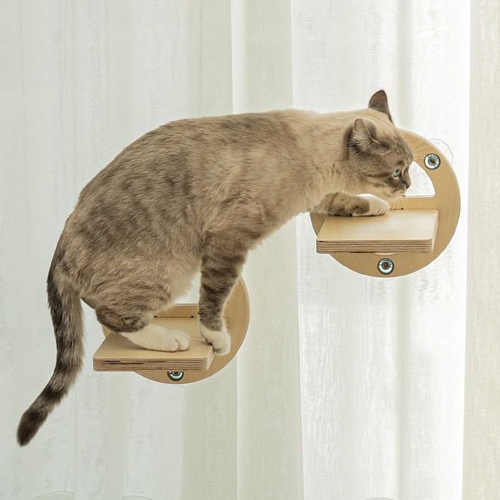 모넬로 고양이 써클스텝 원목 윈도우 창문 캣타워