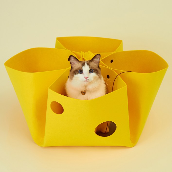 고양이섬 고양이 치즈만두 놀이터널
