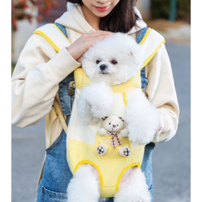 담요 증정 푸르픽 봄 강아지 앞포대기 앞가방 기내용 이동장 대형견가능 곰돌이, 1개