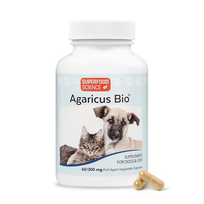 개와 고양이를 위한 아가리쿠스 바이오 300mg, 중요 면역 방어 및 세포 건강 증진을 위한 베타 글루칸 버섯 반려동물 보충제, 항산화 분말, 노령견과 고양이를 위한 에너지 지원,