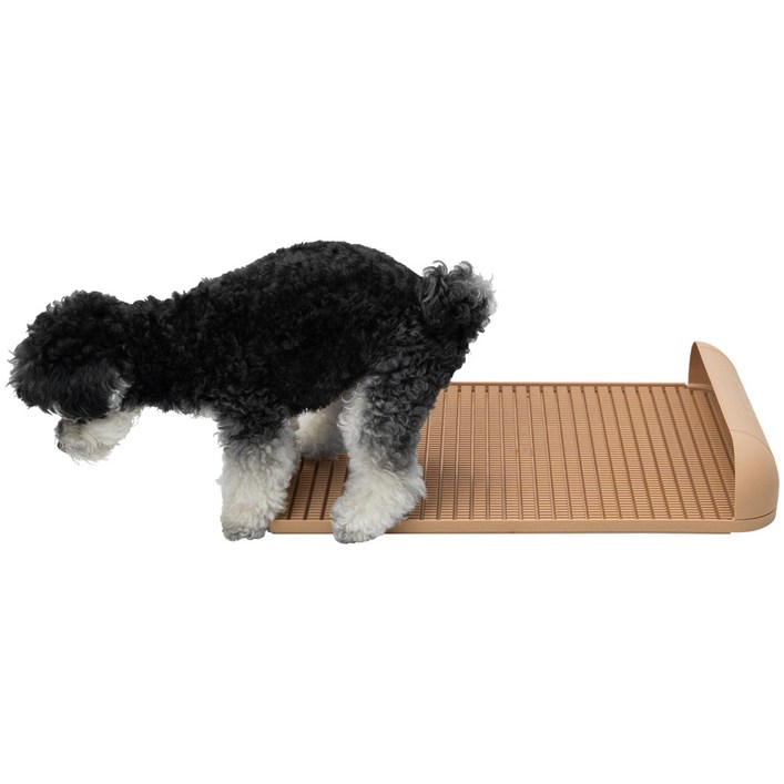 독톡 강아지 배변판 패드필요없음, 연장형샌드베이지, 1개