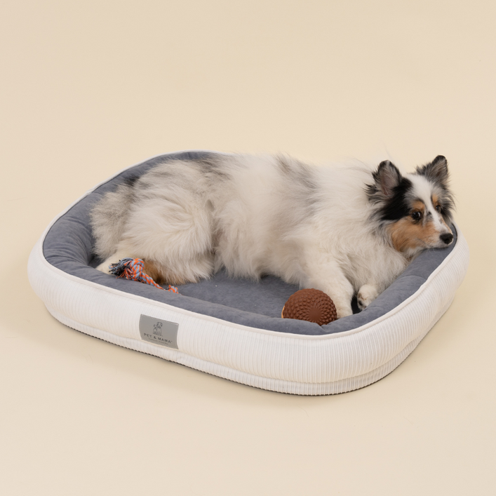 펫앤마마 겨울 강아지 슬개골보호 극세사 베개형 방석 커버분리형, White화이트, 1개