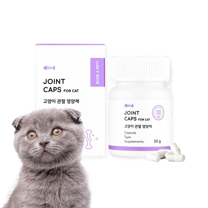 본아페티 조인트캡스포캣 고양이영양제 초록입홍합 캡슐 60정 본아페티 조인트캡스포캣 고양이영양제 초록입홍합 캡슐 60정