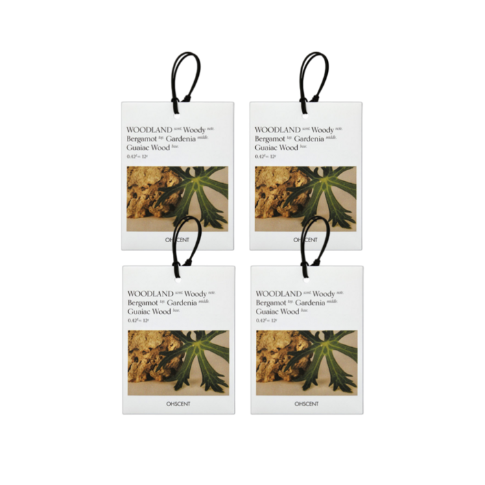 [3+1] 오센트 퍼퓸 샤쉐 6종 4입, 룸 차량 옷장 화장실 방향제! 공간을 담은 향기