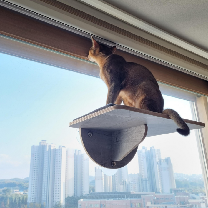 헤라우스점핑 고양이 일광욕 창문 캣타워 투명 해먹 캣워크 캣워커 캣폴, 창문 캣워커, 1개