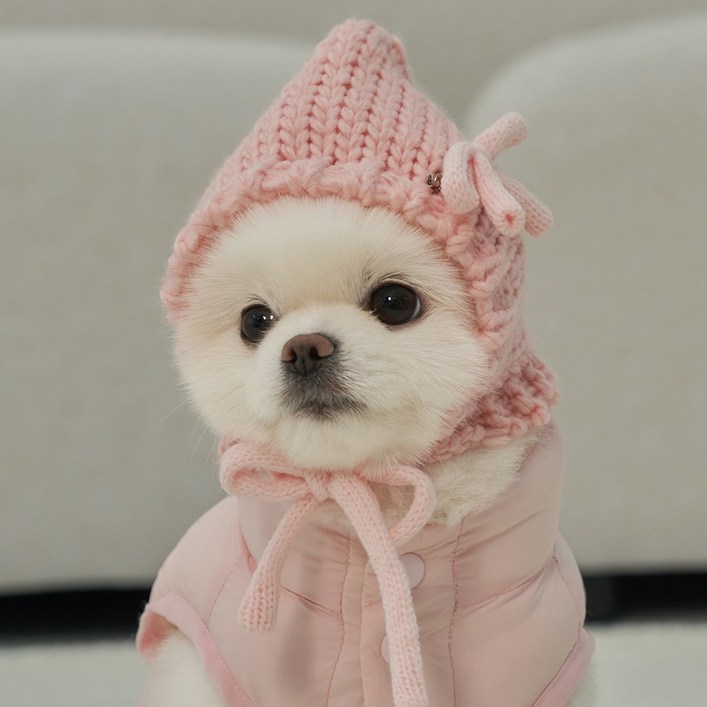 베일리펫 강아지 모자 겨울 귀도리 귀마개 코코보넷