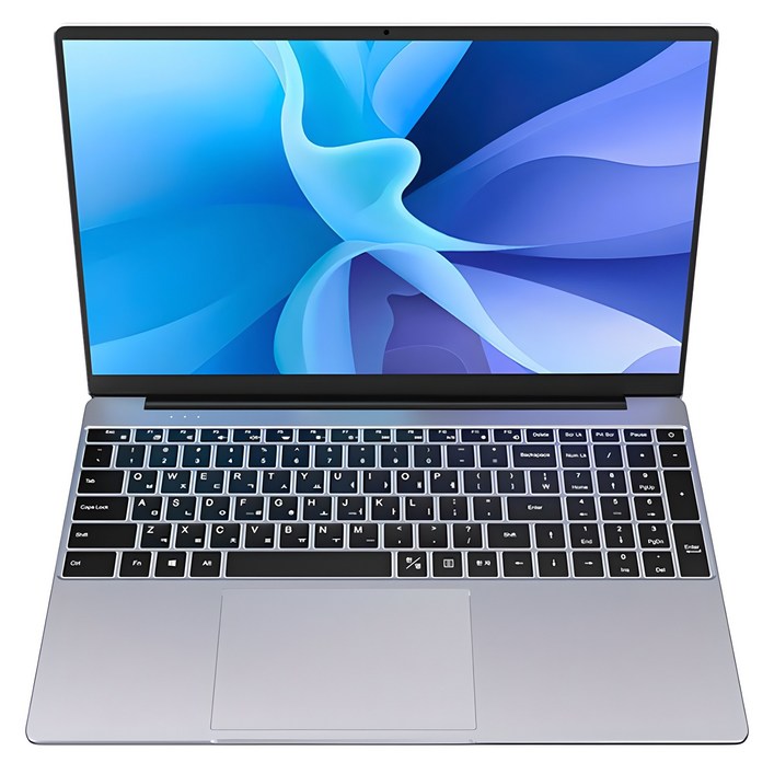 빅트랙 2024 브이북 15.6 셀러론 인텔 11세대, 스페이스 실버, 512GB, 8GB, WIN11 Home, VICLPTP01