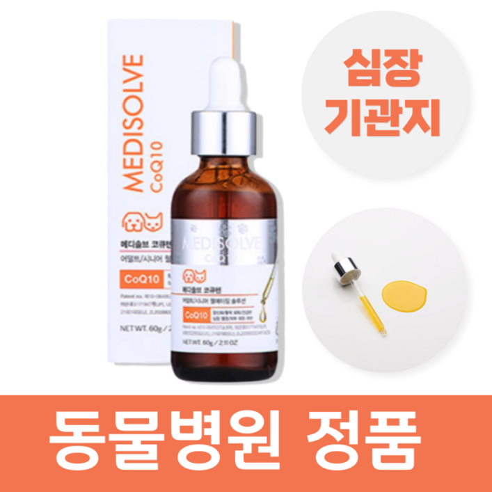노령견 항산화 활력증대 영양제 강쥐 말티즈 반려견 푸들 비숑 포메, 1개