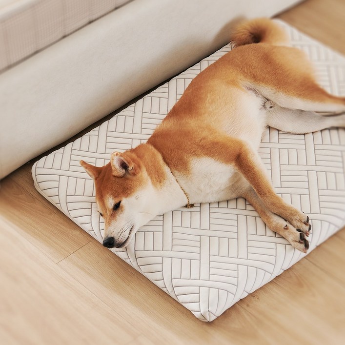 꽁떼떼 듀라론 100 국내생산 메모리폼 쿨매트 강아지 매트리스 침대 애견 쿠션 ML, 1개 꽁떼떼 듀라론 100 국내생산 메모리폼 쿨매트 강아지 매트리스 침대 애견 쿠션 ML, 1개