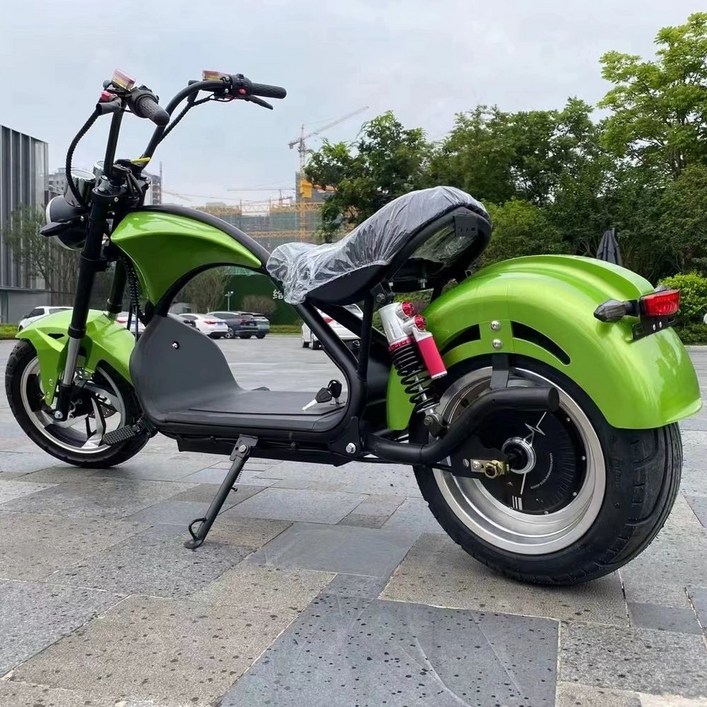 할리 전기스쿠터 고출력 전동스쿠터 전기바이크 엄청빠른