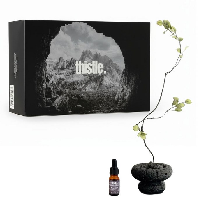 티슬 화분 스톤 디퓨저 화산석 아로마 오일 집들이 선물 세트 홈데코, 1개, 롬브르단로딥디크향