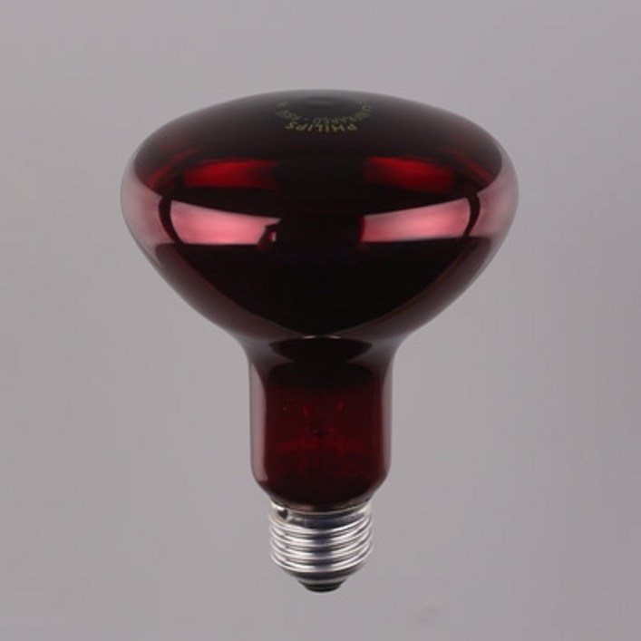 천지몰 필립스 적외선 IR램프 100W R95 E27, 1개