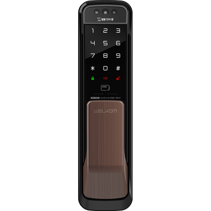 솔리티 얼굴인식 무타공 푸시풀 손잡이 있음 도어락 WP-500A