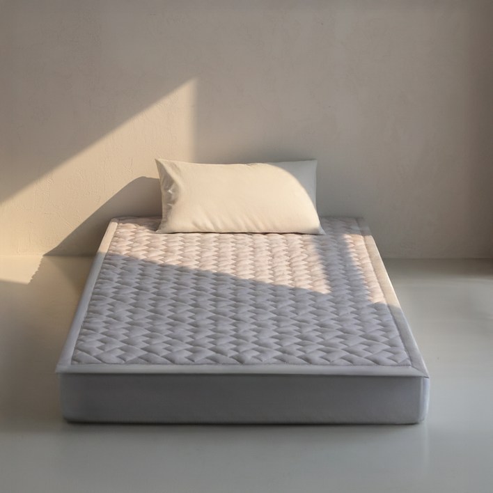 디센느 프리미엄 탄소 전기매트 HI-2025S, 베이지, 슈퍼싱글(110 x 200 cm)