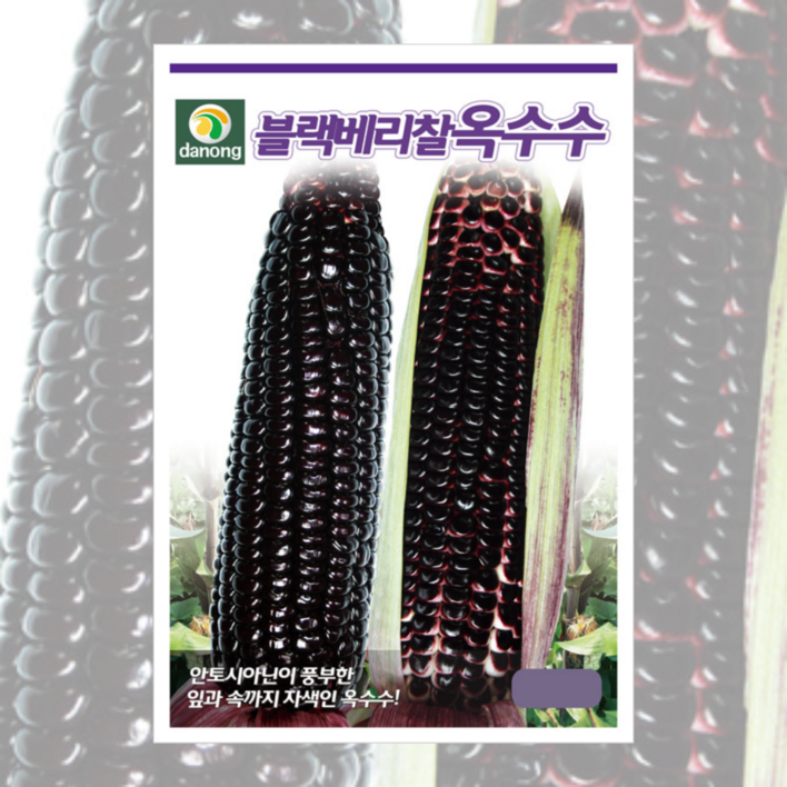 블랙베리 찰 옥수수 씨앗 1000립 [25년포장] 대용량 옥수수종자, 1개