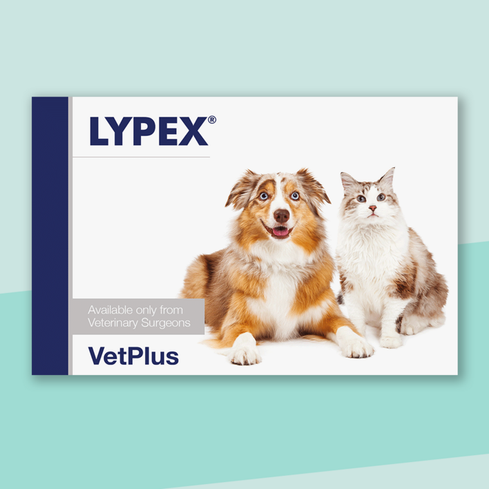 벳플러스 라이펙스 60정 LYPEX 개 고양이 EPI 췌장효소성분 보조제