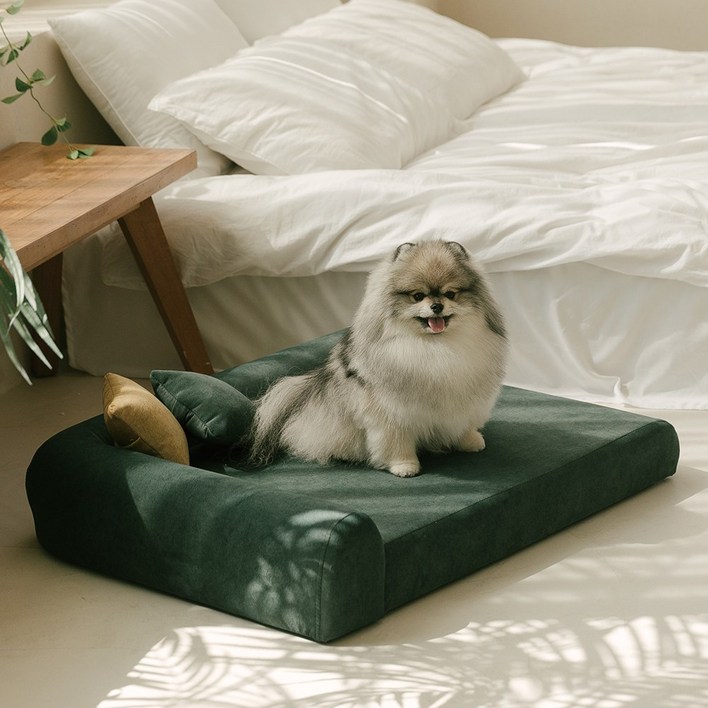 펫더팬 프리미엄 강아지 고양이 애견 침대 소파 방석 슬개골 보호, 에메랄드 그린, 1개