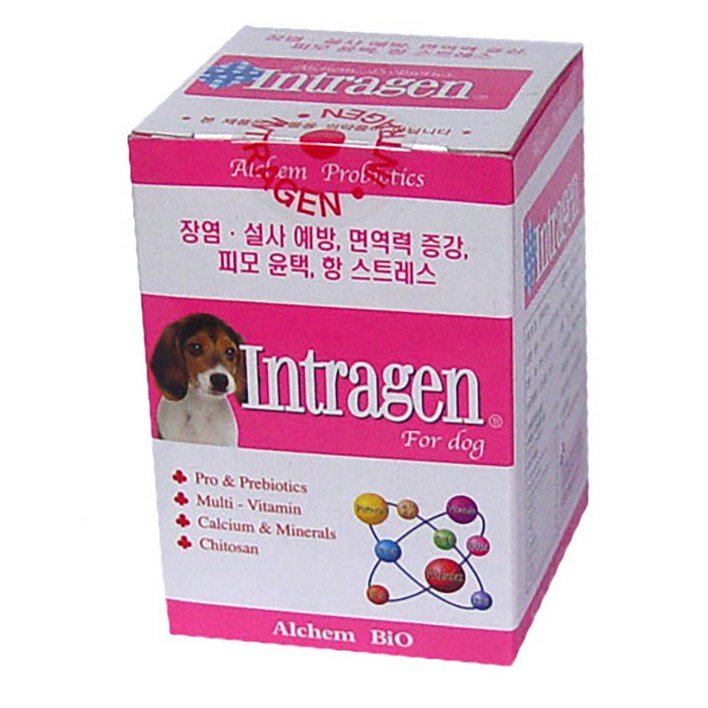 인트라젠 플러스 장영양제 200정