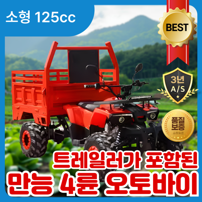 워크마스터 작업용 4륜 오토바이 전기 스쿠터 바이크 사발이 산악용 농업용 상업용, 소형 125cc