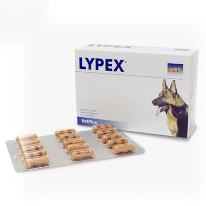벳플러스 라이펙스 강아지 고양이 췌장 효소 영양제 60캡슐