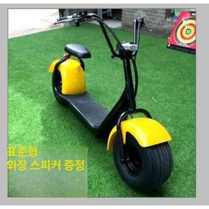 할리 전기 스쿠터 전동 오토바이 추천