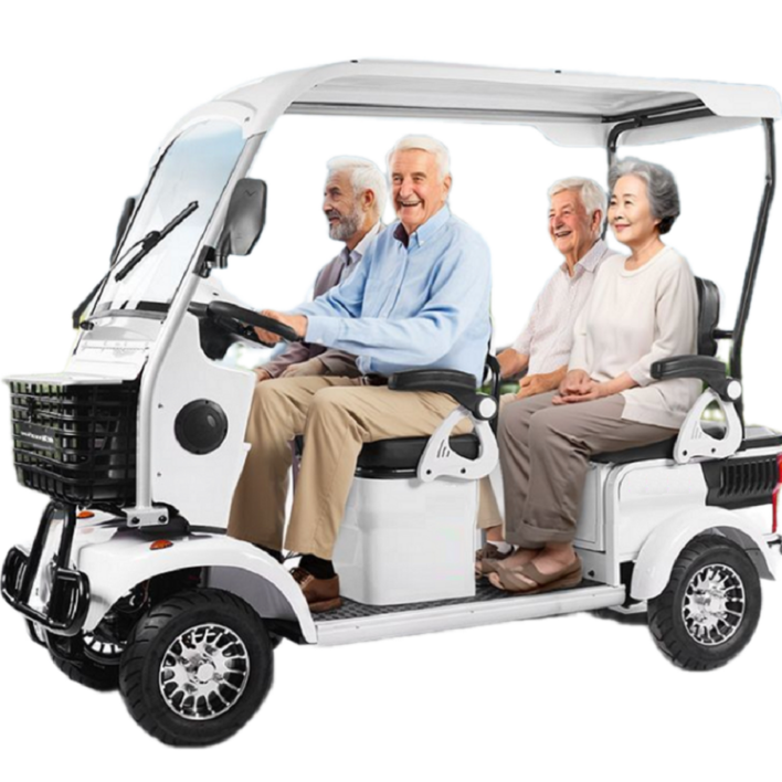 아트테크 지붕형 캐노피 4륜4인 용 장애인 노인 전동스쿠터 방풍방한 레인커튼커버 전동차 언덕등반등판 할리 등하원 통학 쇼핑 거래처 명절 효도 선물 시골 농촌 농업 용, 화이트, 800W60V50A리튬방한방풍레인커튼