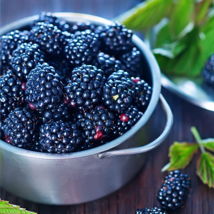 백운팜 햇 블랙베리 슈퍼복분자(급냉) 에어세척3차선별