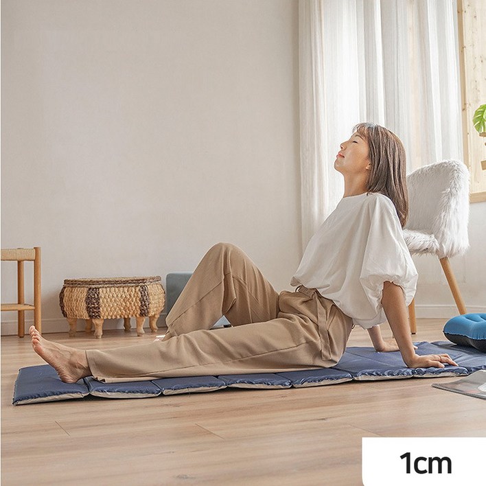 로아딕 푹신한 폴딩매트 캠핑 야외 피크닉 간편한 사용 (보관가방 증정), 브라운