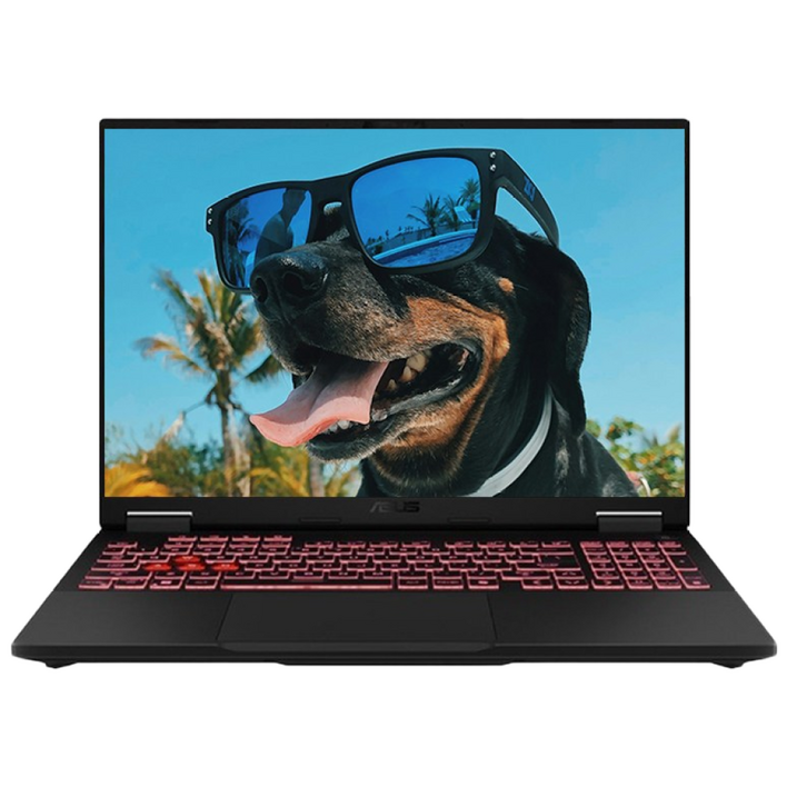 ASUS TUF AMD라이젠7 AI 260 16GB 512GB RTX5060 고사양그래픽 게이밍, FA608UMRV042, Free DOS, 32GB, 2TB, Jaeger Gray