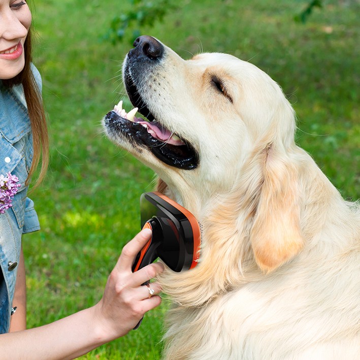 바비온 반려동물 소프트핀 쓱싹 슬리커 브러쉬 L, 블랙, 1개