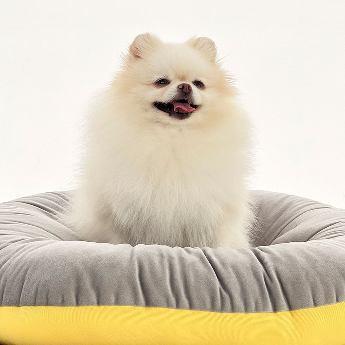 펫어펫 강아지 방석 애견 고양이 극세사 매쉬 양면 워셔블 방석 쿠션, 크롬 옐로우 펫어펫 강아지 방석 애견 고양이 극세사 매쉬 양면 워셔블 방석 쿠션, 크롬 옐로우