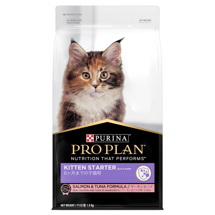 프로플랜 키튼용 스타터 고양이 건식사료, 1.5kg, 연어, 1개