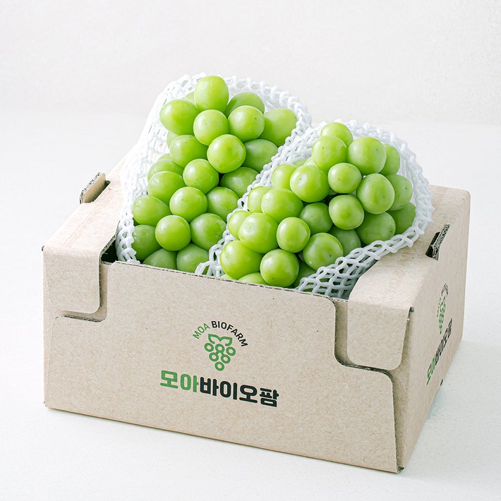 모아바이오팜 당도선별 샤인머스캣, 1개, 1.5kg