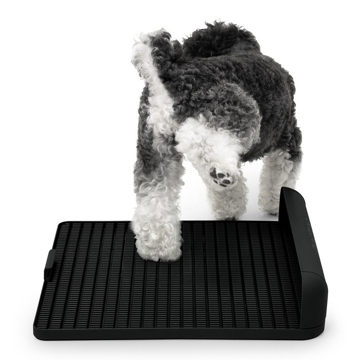 독톡 강아지 표준형 배변판