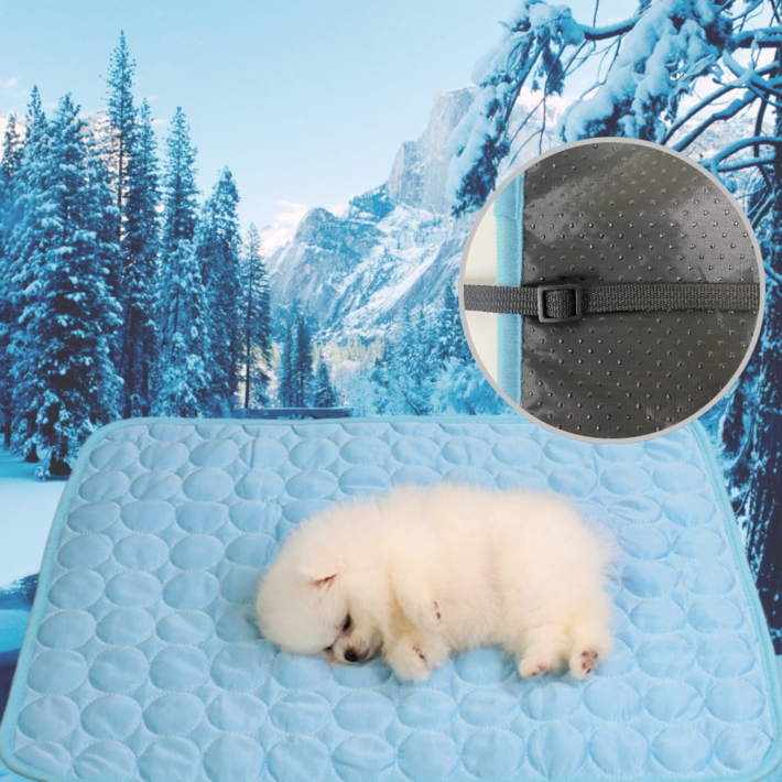 홈덴 강아지 애견 쿨매트