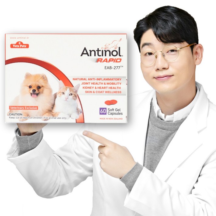 안티놀 래피드 60정, 60정, 뼈관절강화, 1개