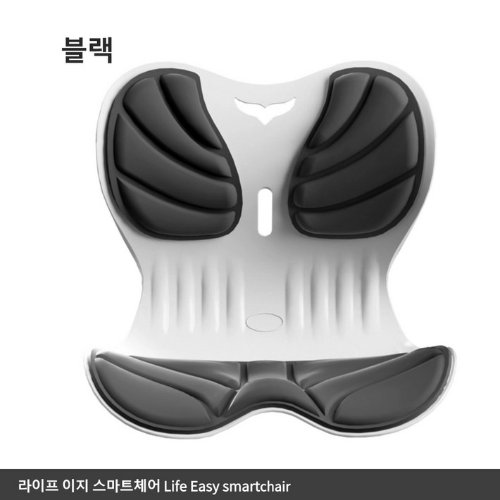 라이프 이지 와이드형 인체공학 스마트체어, 블랙
