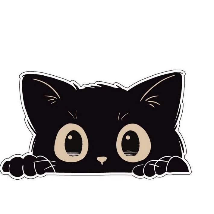 태쓰 자동차 스티커 흠집커버 스크래치 커버 차량 반창고 노트북스티커