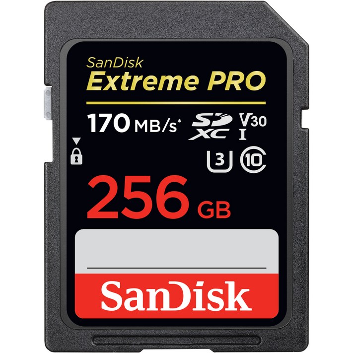 샌디스크 익스트림 프로 SD카드 SDSDXXY, 256GB