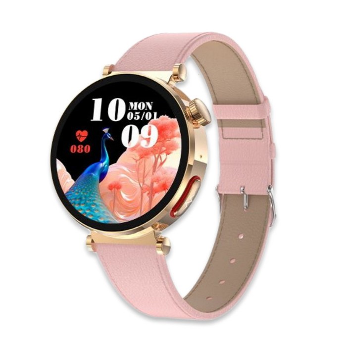 액션맨 글루코워치 EP 건강데이터 스마트워치 한국어지원 온라인설명서 AS 지원, 핑크레더골드메쉬, 4.4cm, 블루투스