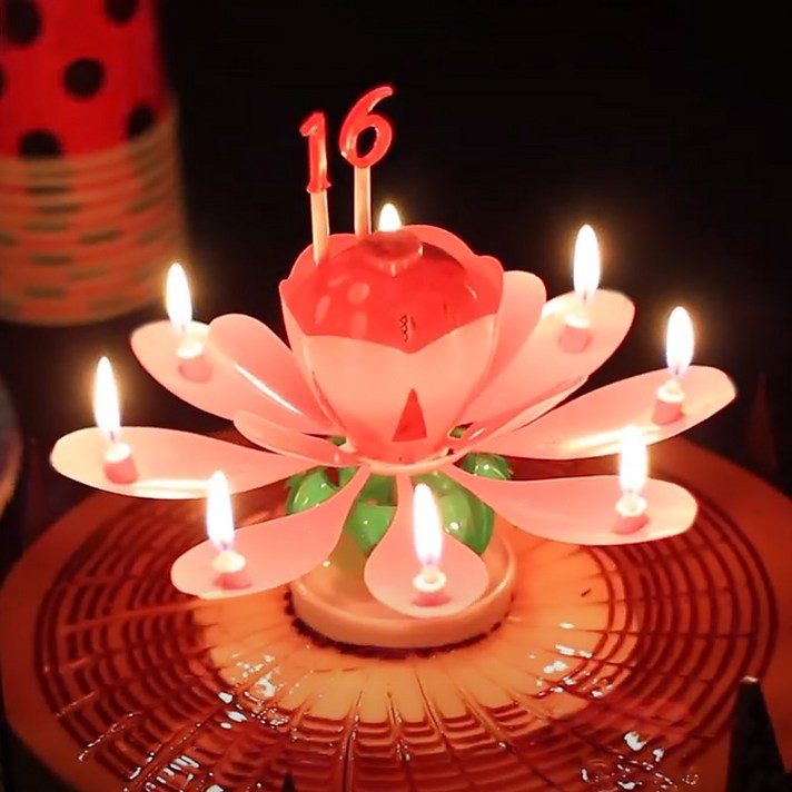 스토리빙 생일 축하 초 연꽃 멜로디 선물 파티 용품  숫자 토퍼 19p 세트, 핑크