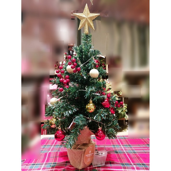 모던하우스 DIY 레드베리 미니 트리세트 60cm XG0622032