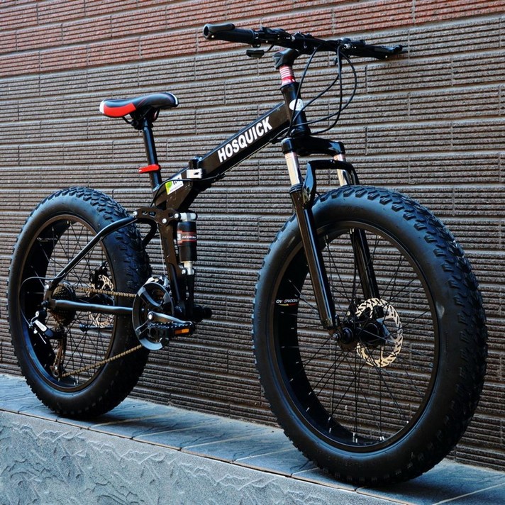 접이식 폴딩 바이크 20인치 팻바이크 펫바이크 로드 산악 자전거