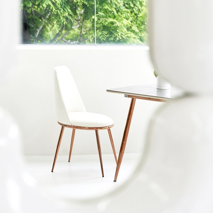 골드의자 가구앤하우스 로즈로사 로즈골드 인테리어 식탁 의자 (5colors), 베이지, 1개