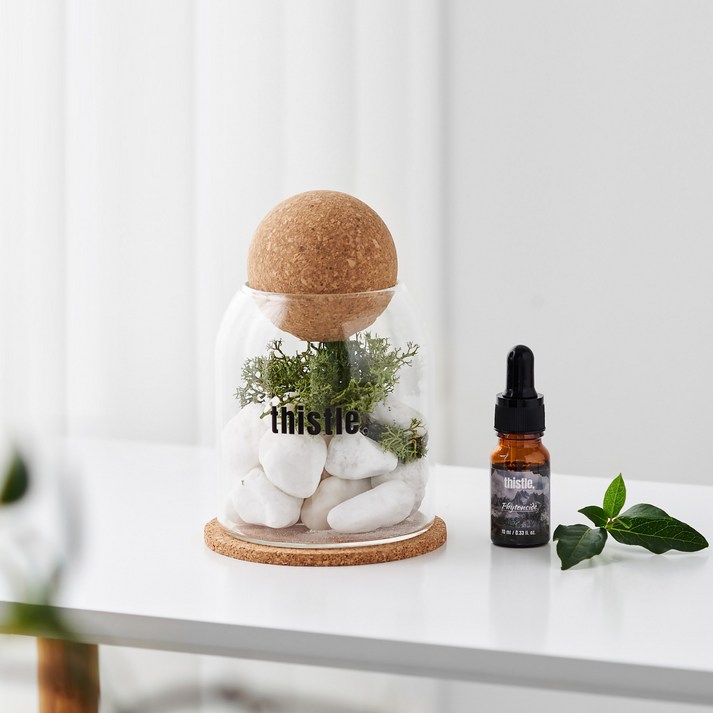 코르크 오브제 스톤 디퓨저 집들이선물 아로마오일 인테리어 도자기, 1개, 테싯(이솝향)