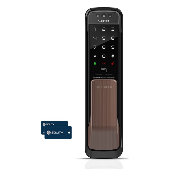 솔리티 웰콤 얼굴안면인식 WP500A 무타공 푸시풀 카드키2개번호키 블루투스옵션 빠르고 편리한 3D 얼굴인증 현관문 디지털도어락 푸쉬풀 도어록 즉시잠김 허수기능, 웰콤 WP500A, 고객직접설치
