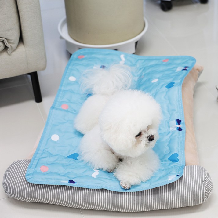 마이또 반려동물 러브 시리즈 쿨매트