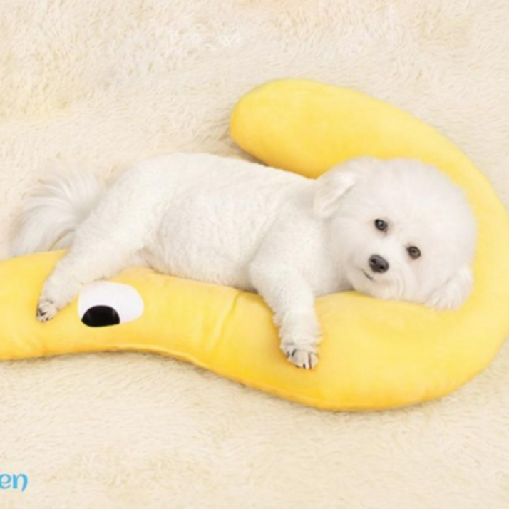 펫가든 강아지 쿠션 애착베개, 노랑, 1개