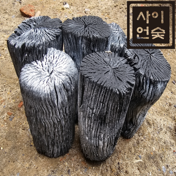 사이언숯 리치 참숯 두번 구운 10kg 중 업소용 구이용 숯, 1개, 10kg